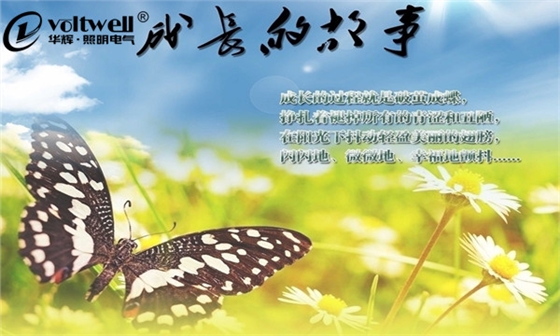 順德華達(dá)-成長