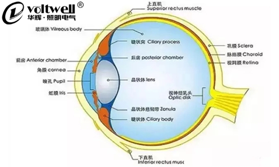 華輝照明最全的教室照明設計現(xiàn)狀及應用解析