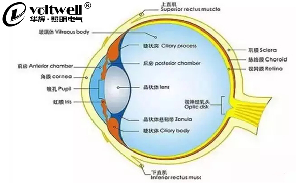 華輝照明最全的教室照明設(shè)計現(xiàn)狀及應(yīng)用解析